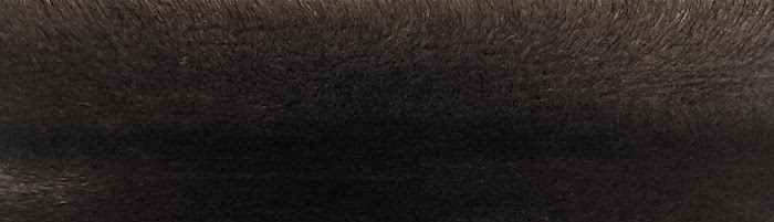 ����� ����� ������� ����� �. 2x0 (R123)