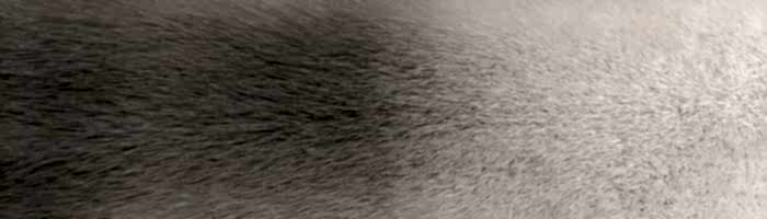 ����� ����� ����� ����� �. 3x0 (R24)