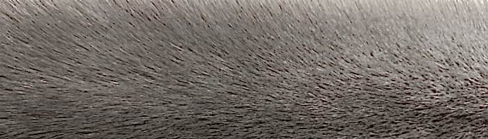 ����� ����� ������ ������ �. 3 (R31)