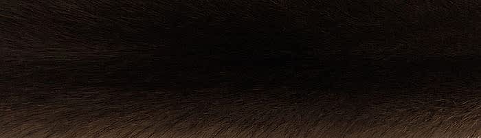 ����� ����� brown ��������� �. 2x0 (R122)