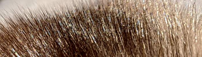 ������ ������� (�����.) 6 ���� ������ ������ �. lge (R160)