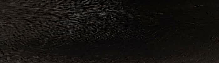 ����� ����� ������� ����� �. 3x0 (R17)