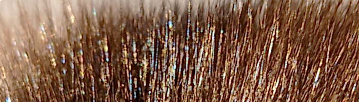 ������ ������� (����.) ���� ������ �. lge (R161)