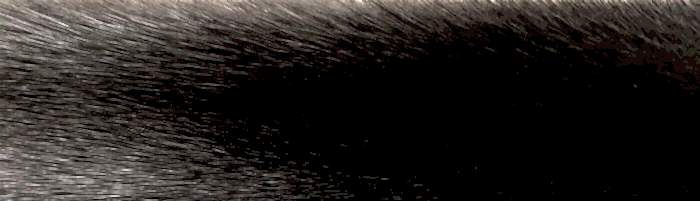 ����� ����� ������� ����� �. 3 (R29)