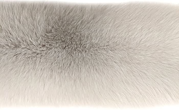 ����� ��������� (����.) ����� ������� ��������� �. 0 (R137)