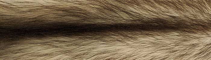 ���� ������������ ������� ������ �. 1 (R131)