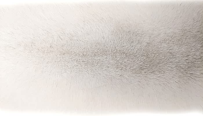 ����� ��������� (������.) ����� ��������� �. 0 (R134)