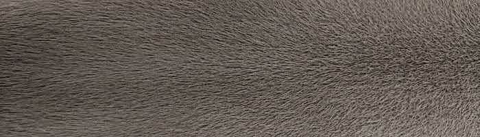 ����� ����� ������ ����� ��������� �. 1 (R114)