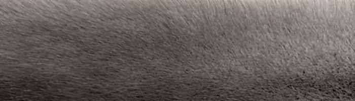 ����� ����� ������ ������ �. 0 (R125)