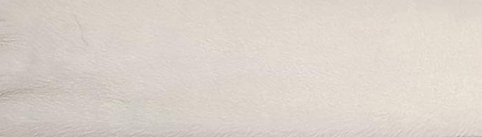 ����� ����� ����� ����� �. 2x0 (R130)