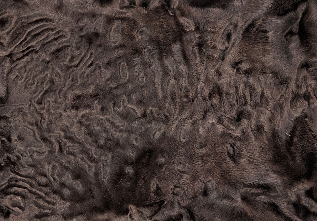 �������� (����.) ���������� ���������� (R169)