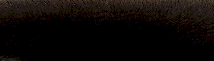 ����� ����� ������� ��������� �. 1 (R112)