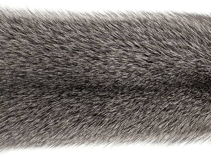 BLUEFROST (����.) ����� ������ ��������� �. 2x0 (R41)