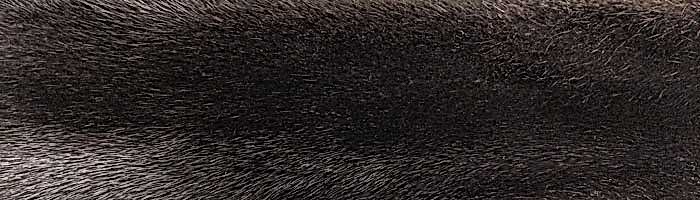 ����� ����� ������� ��������� �. 3x0 (R142)