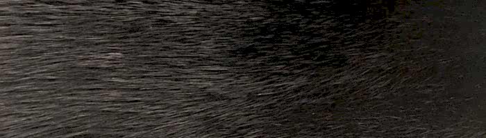 ����� ��������� (����.) black exclus. ����� �. 0 (R167)