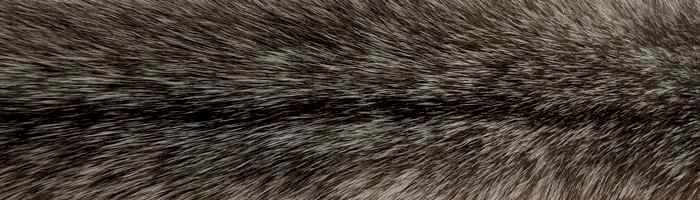 ����� ��������� ��������� ������ �. 5 (0070)