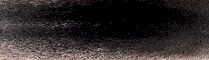 ����� ����� ������� ��������� �. 4 (R127)