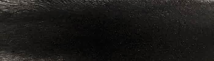 ����� ����� �������� ����� �. 3 (R115)