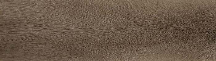 ����� ����� �������� ��������� �. 2x0 (R113)