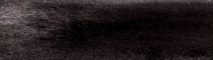 ����� ����� (����.) �������� ������ �. 0 (R126)